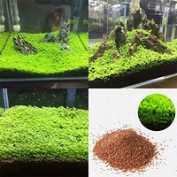 Thumbnail for SN Aquatic Seeds For Live Planted Aquarium Growth