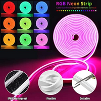 Thumbnail for Neon Led Strip Light RGB 5m