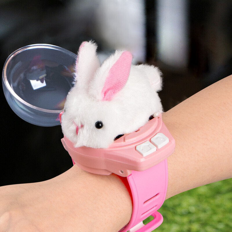 Remote Control Rabbit Watch Car