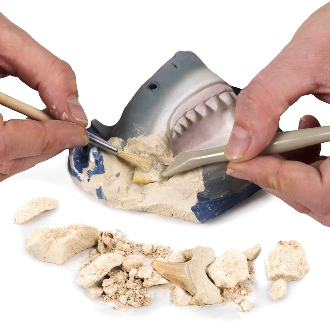 national geographic shark tooth dig kit