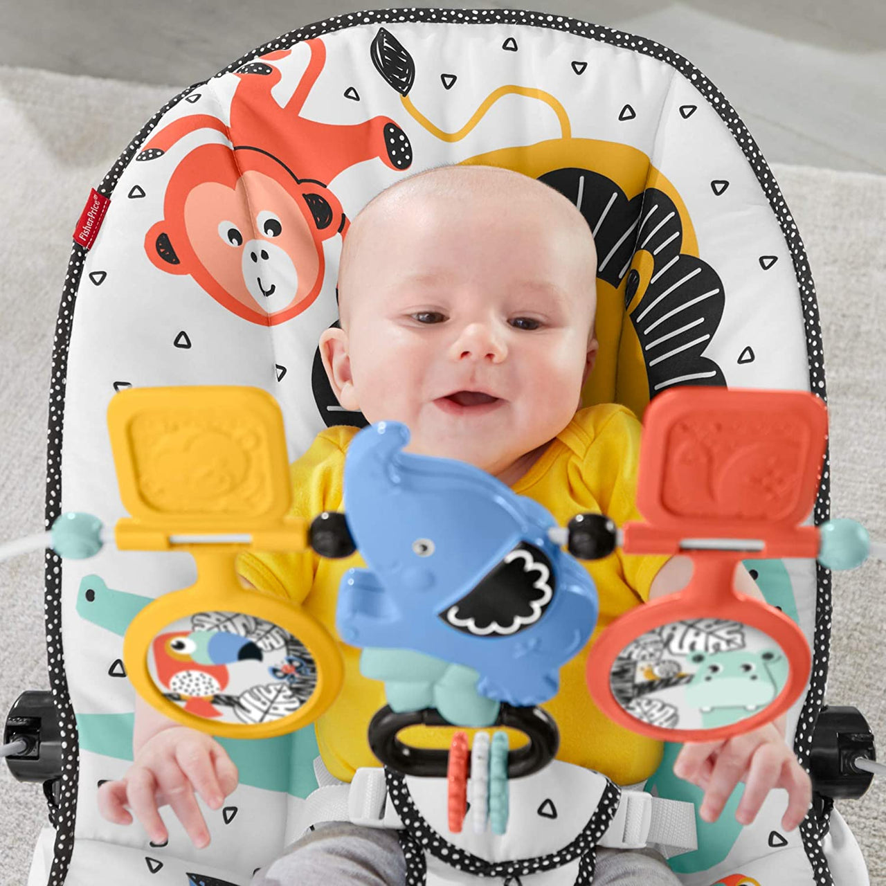 fisher price deluxe bouncer signature style