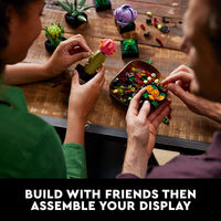 Thumbnail for Building Blocks - Succulents