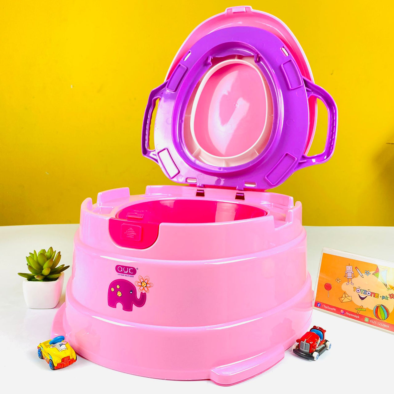 Baby Toddler Potty Chair
