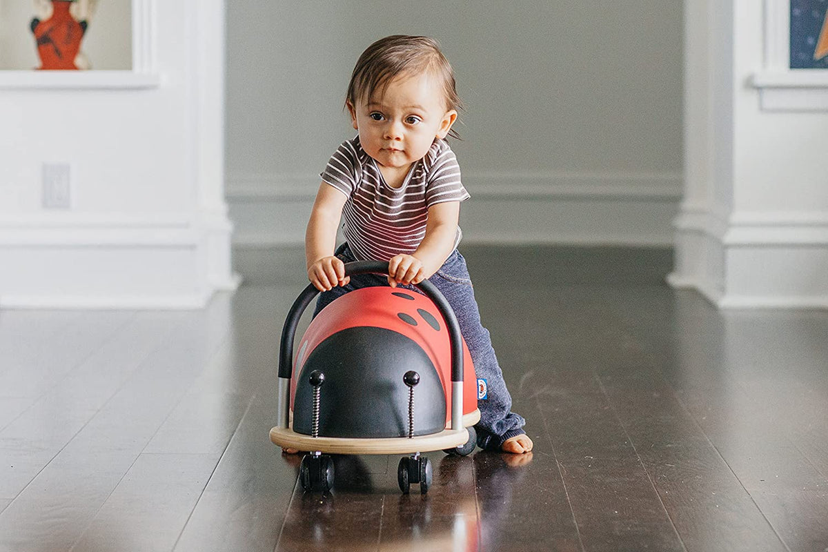 Ride-On Toys for Kids and How They Benefits Child Development Process Online at Toyzone.Pk