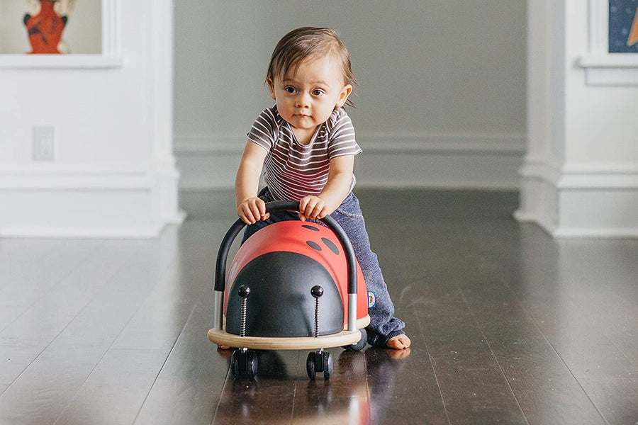 Ride-On Toys for Kids and How They Benefits Child Development Process Online at Toyzone.Pk