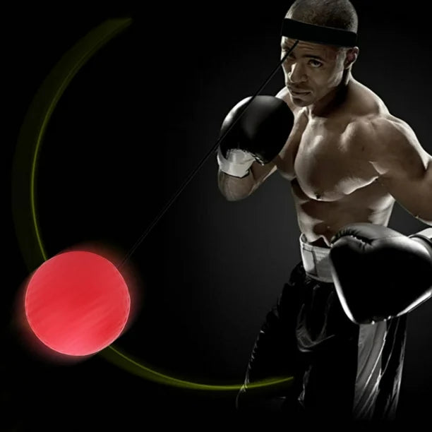 Interactive Boxing Ball Training Set