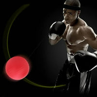 Thumbnail for Interactive Boxing Ball Training Set