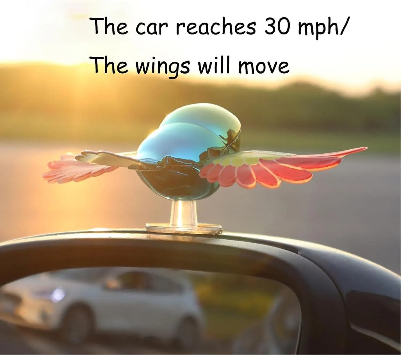 Car And Cycle Flying Bird Accessories