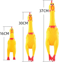 Thumbnail for Squeeze Me Chicken And Frog