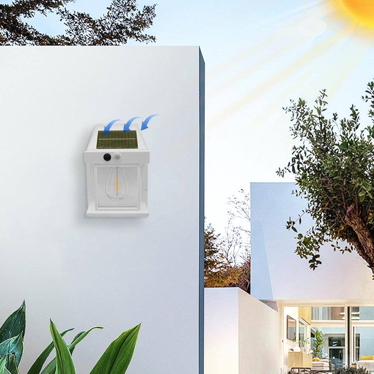 Wall Mounted Solar Light with Motion Sensor