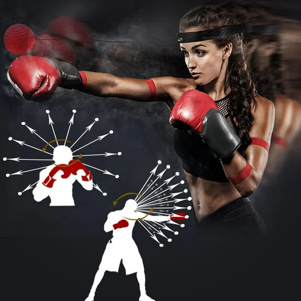 Interactive Boxing Ball Training Set