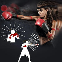 Thumbnail for Interactive Boxing Ball Training Set