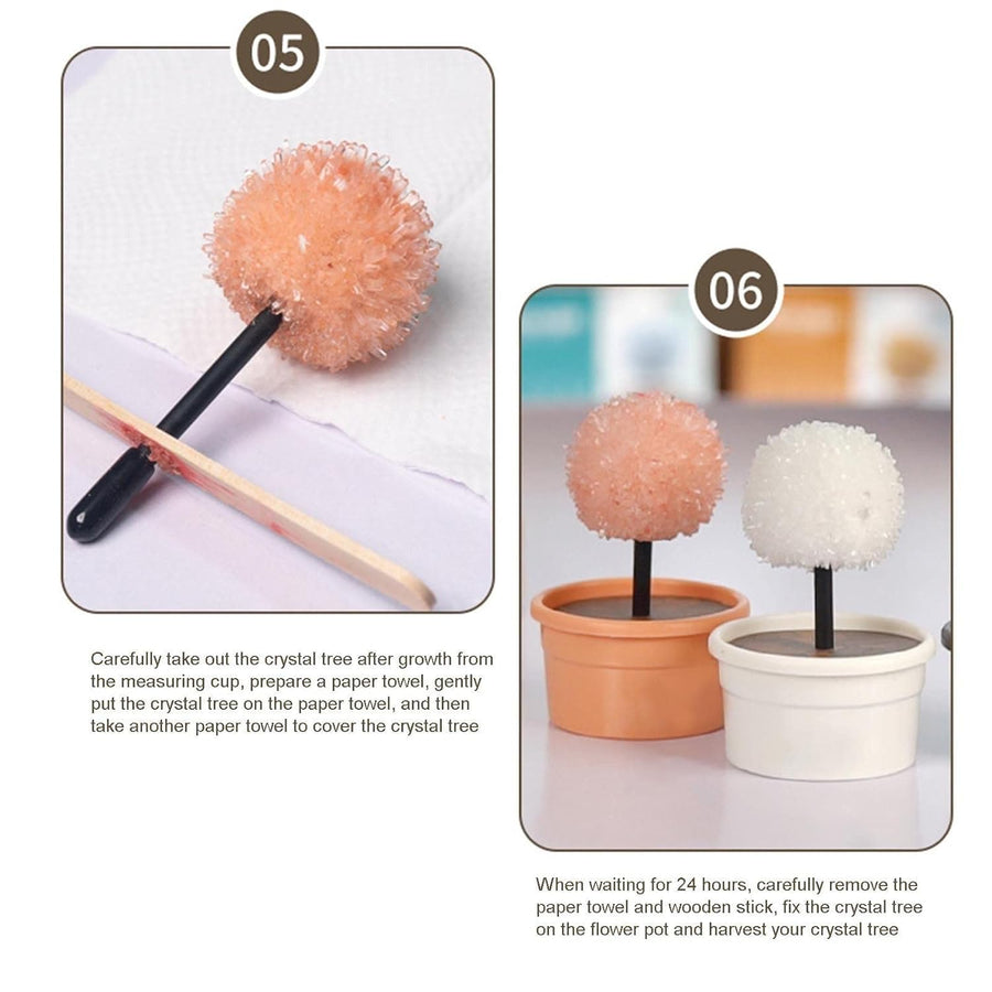 DIY Scientific Creative Crystal Flower