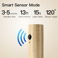 Thumbnail for Intellisense Sensor Lamp