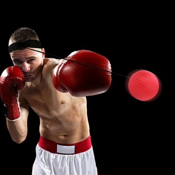 Interactive Boxing Ball Training Set