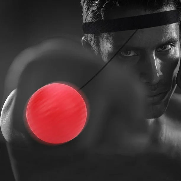 Interactive Boxing Ball Training Set