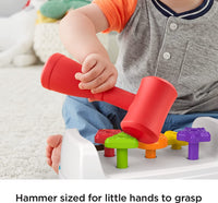 Thumbnail for Fisher-Price Toddler Toy Tap & Turn Bench
