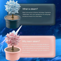 Thumbnail for DIY Scientific Creative Crystal Flower