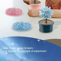 Thumbnail for DIY Scientific Creative Crystal Flower