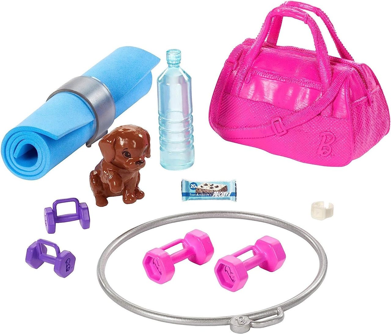 Barbie Fitness Doll With Puppy And 9 Accessories
