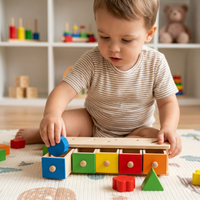 Thumbnail for Premium Wooden Color & Shape Sorting Box – Early Educational Learning & Geometry Toy