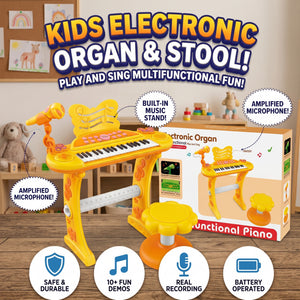 Multifunctional Electronic Organ Piano With Mic And Stool