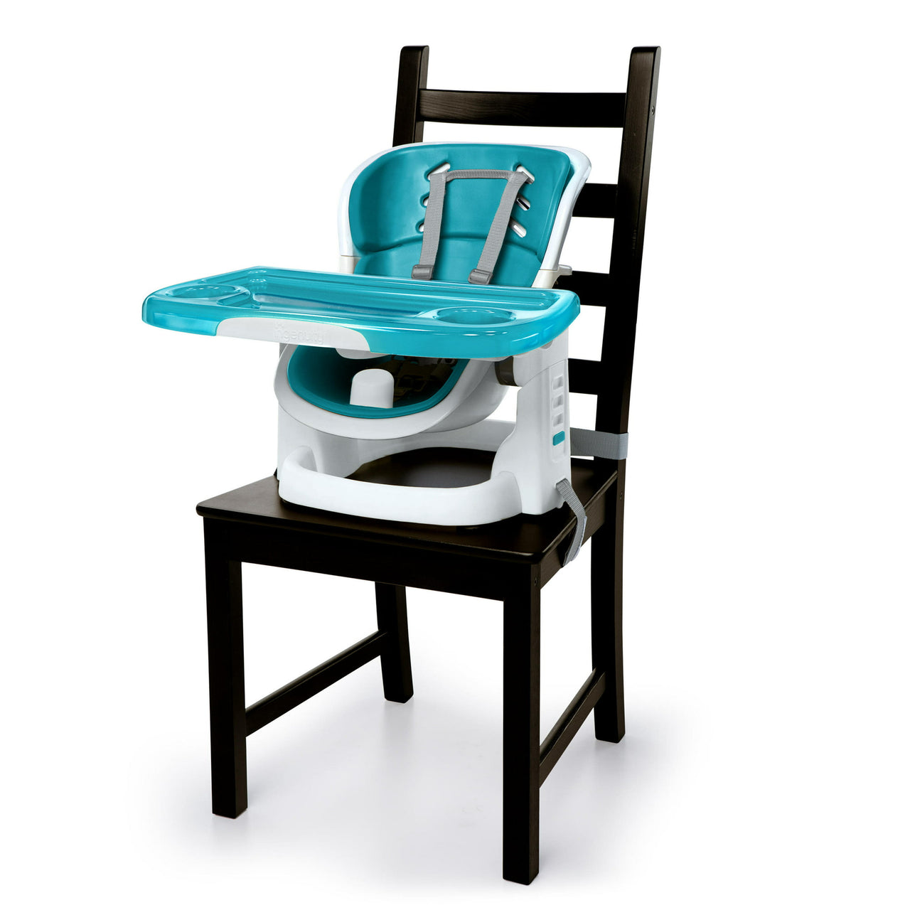 Ingenuity Multi Function Booster Seat