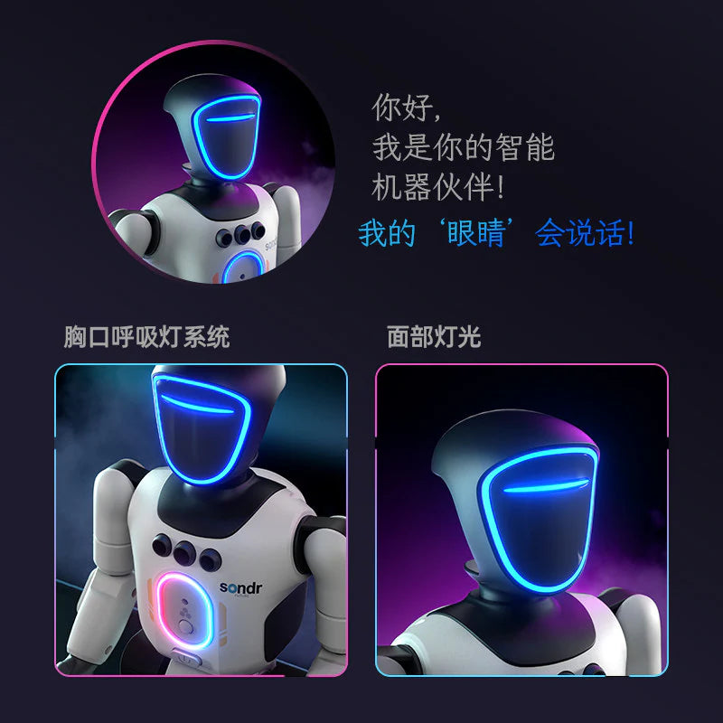 Remote Control And Gesture Control Smart Robot