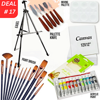 Professional Mega Artist Acrylic Painting  Deal No.17 - 33 Pieces