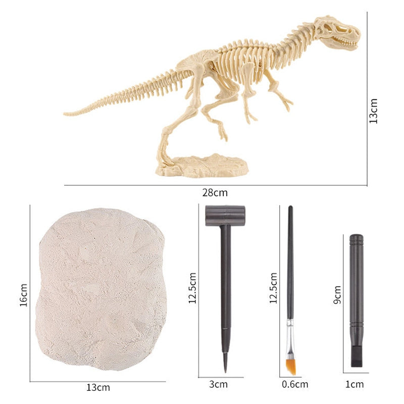 Plastic Fossils Dinosaur Skeletons