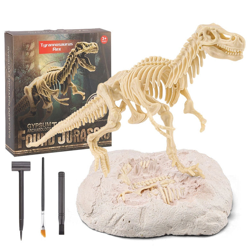 Plastic Fossils Dinosaur Skeletons