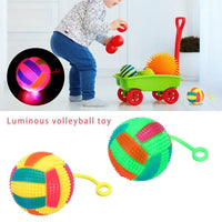 Thumbnail for Multi-Color Hand Ball