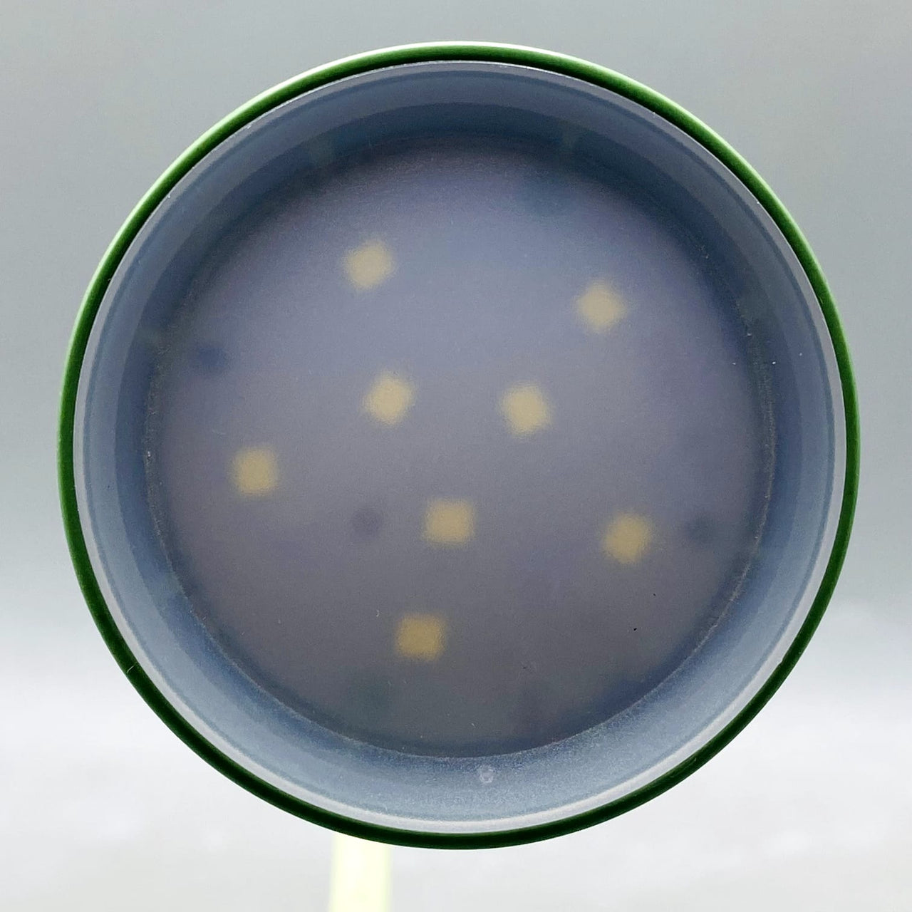 💡🐈 Cute Kitten Multi-Function Desk Lamp with Pencil Sharpener & Holder