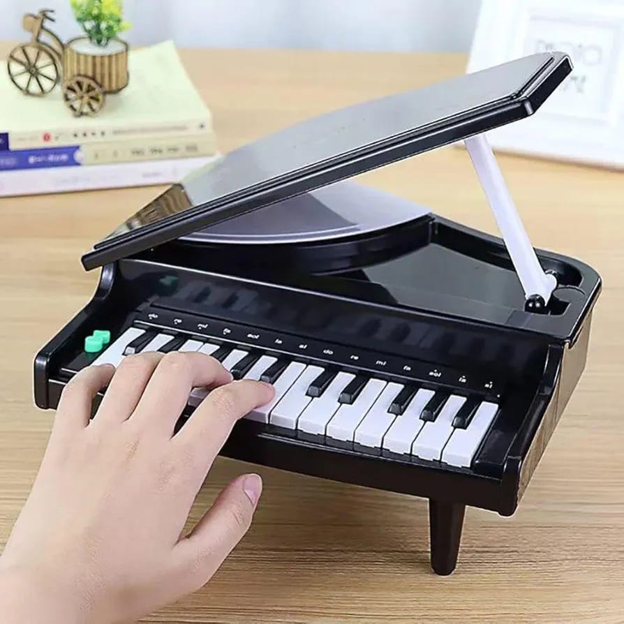 Portable 25 Key Piano With Light And Sound
