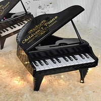 Thumbnail for Portable 25 Key Piano With Light And Sound