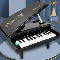 Thumbnail for Portable 25 Key Piano With Light And Sound