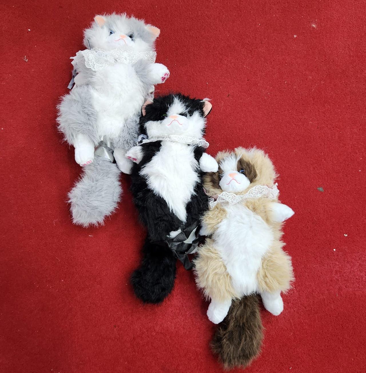 Three realistic plush cat stuffed animals with lace collars laid out on red carpet in grey white, black white and brown white colours