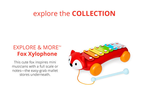 Cute Animal Fox Car Xylophone