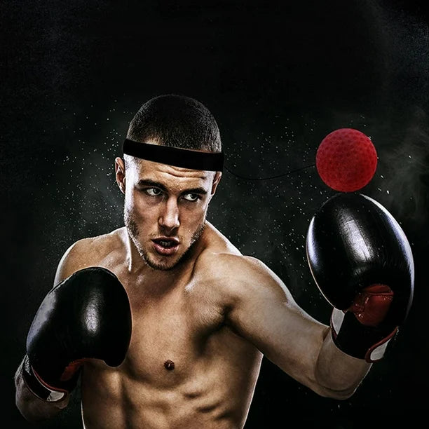 Interactive Boxing Ball Training Set