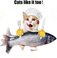 Thumbnail for Electric Moving Fish Toy