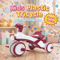 Children's Plastic Tricycle