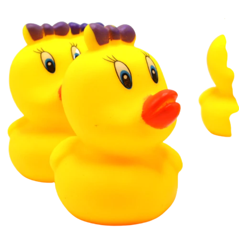 Duck Family Chuchu Toys Pack of 6