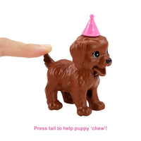Thumbnail for Barbie Doll And Puppy Party Playset With Puppies