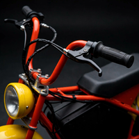 Thumbnail for Close-up of the Volt City e-bike handlebar, throttle and brake levers