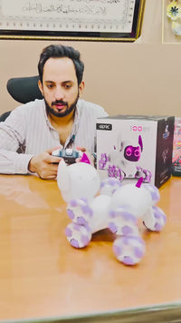 4DRC Remote Control 8-Wheel Stunt Dog