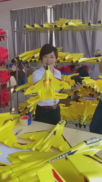 SU-35 / F22 Pro Remote Control Foam Plane