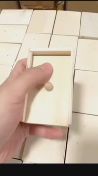 Funny Prank Wooden Box Toy (Random Character)