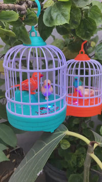 Voice Controller Birds Cage With Light & Sound