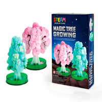 Thumbnail for DIY Planting Tree Science Experiment Kit