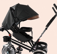 Thumbnail for Deluxe Tricycle Stroller with Canopy, Rotating Seat & Music - detail